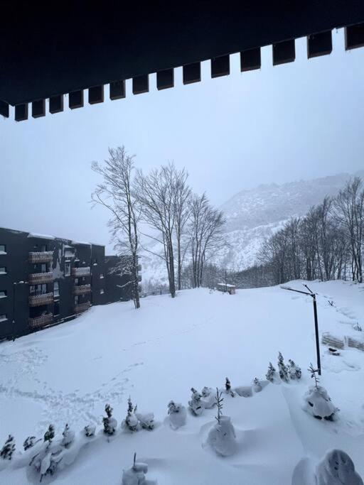 Apartment The Royal Pine Mavrovo