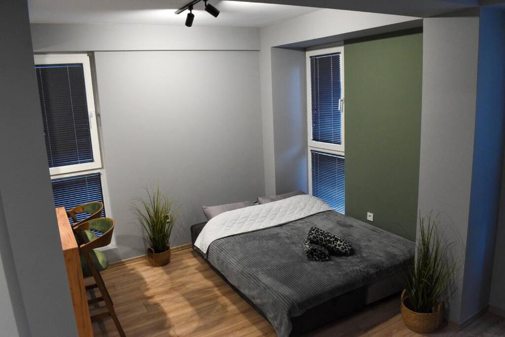 The Royal Pine Apartment